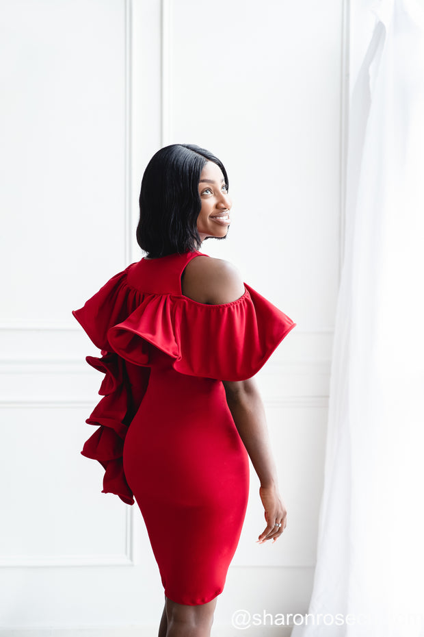 Red Mini Gown Perfect for Photo shoots and Special Occasions